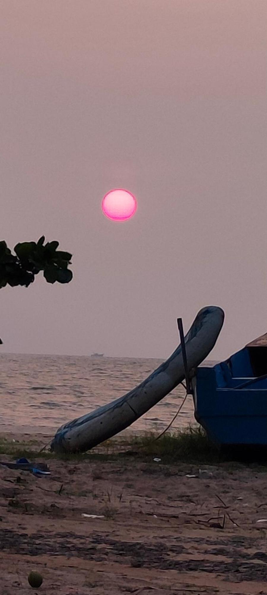 Marari Blue Whale Beach House Alappuzha Екстер'єр фото