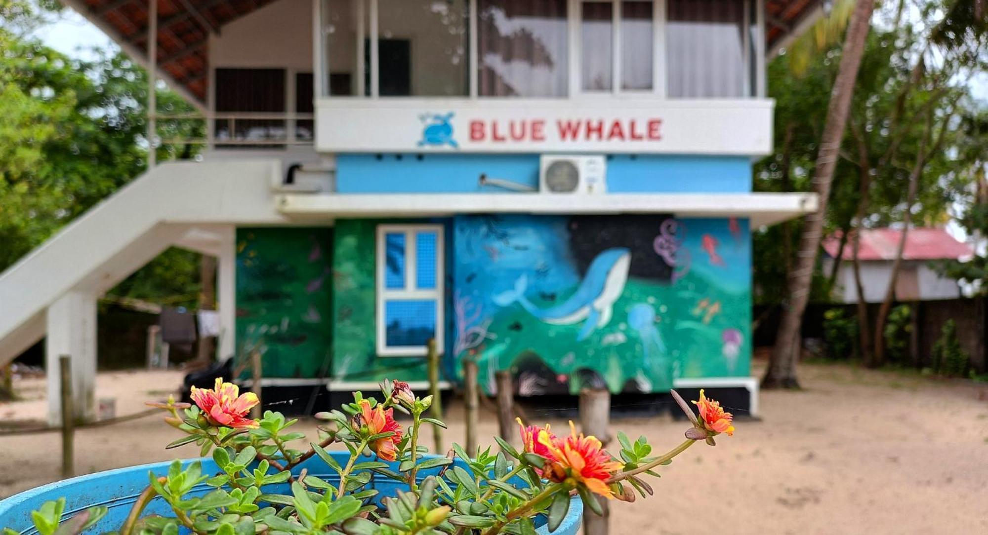 Marari Blue Whale Beach House Alappuzha Екстер'єр фото